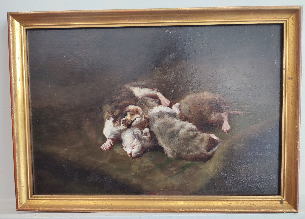 Les chatons. Philippe Zacharie vers 1900.-photo-4