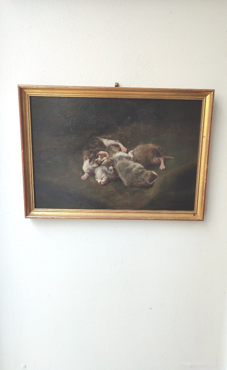 Les chatons. Philippe Zacharie vers 1900.-photo-2