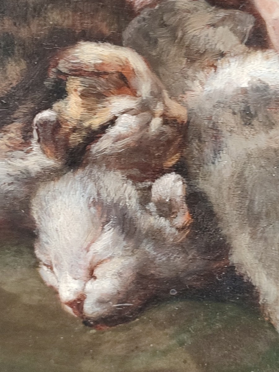 Kittens. Philippe Zacharie-photo-3