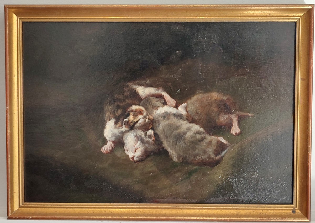 Kittens. Philippe Zacharie
