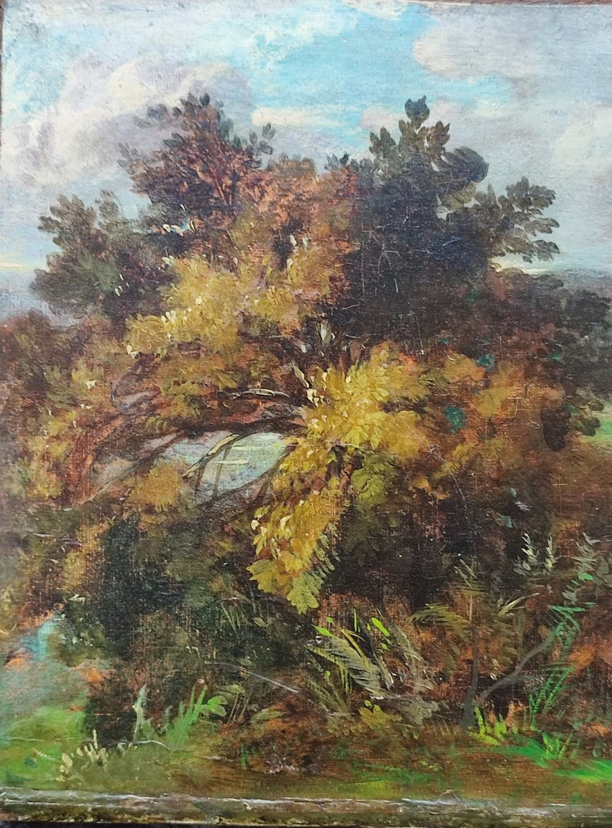 Animated Landscape. English School Circa 1840.-photo-1