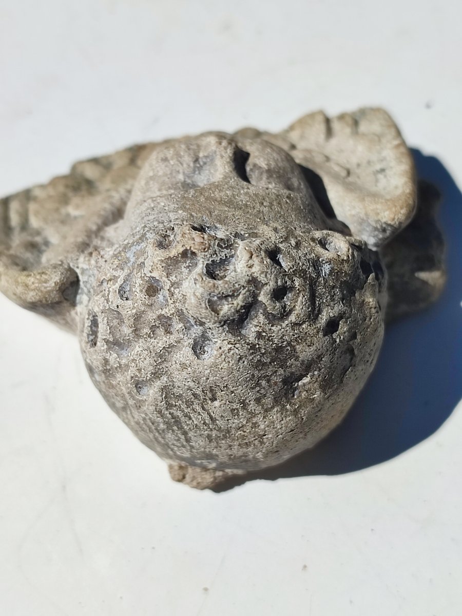Angel Head, Renaissance Period -photo-2