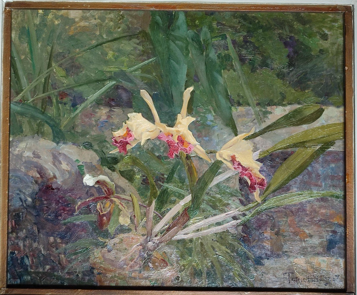 Les Orchidées. François Forichon, 1908.-photo-2