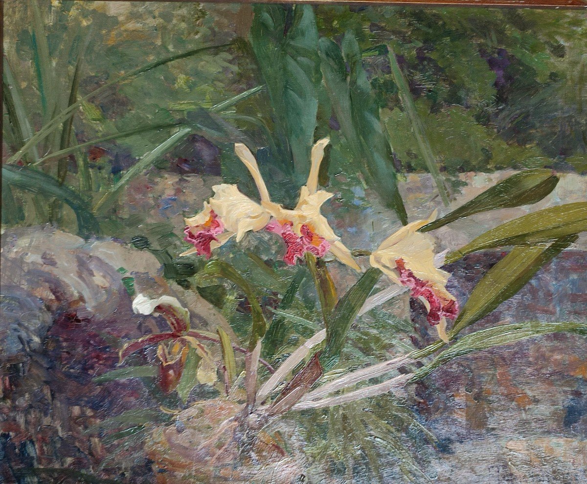 Les Orchidées. François Forichon, 1908.-photo-4