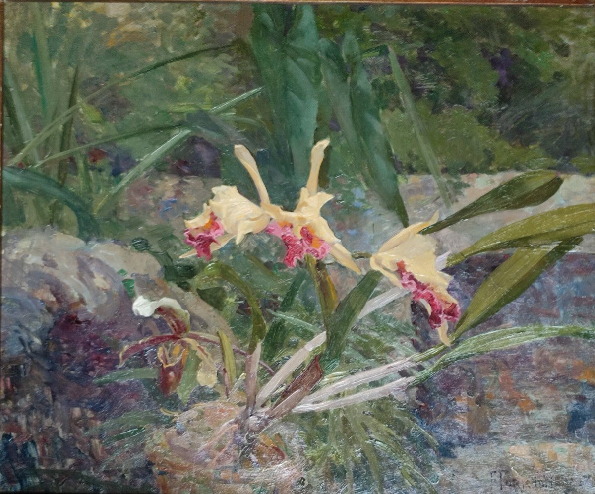 Les Orchidées. François Forichon, 1908.