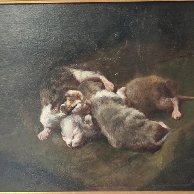 Premiere-Image-1740190