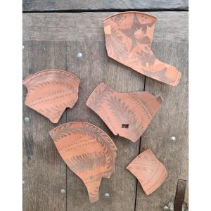 Five Fragments Of Nabataean Cups. 1st Century.