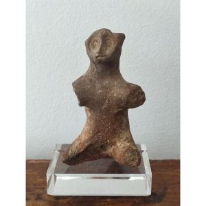 Singe. Indus. 