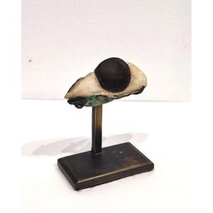 Stone Eye. Late Period Egypt 