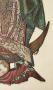 1772975-alb-6a22caa2cfa6d.jpg