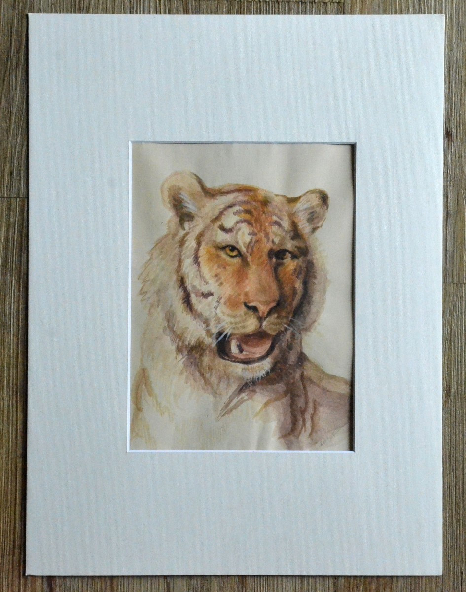 Tiger Head.-photo-3