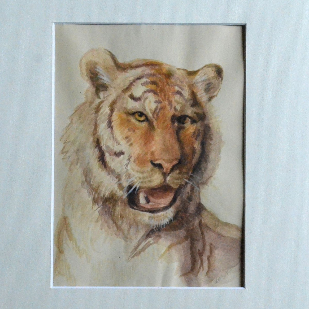 Tiger Head.