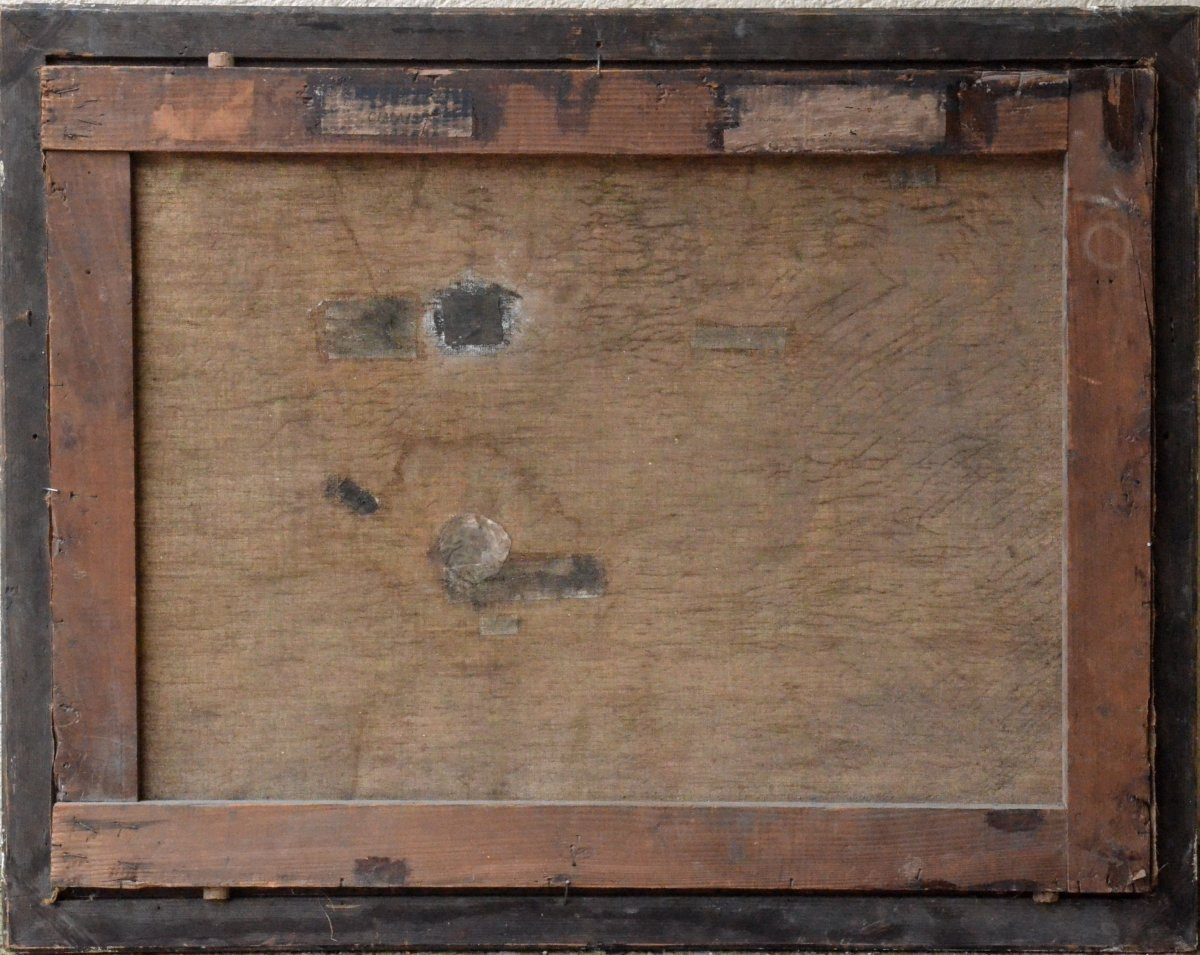 The Elegant Ladies And The Peacocks.-photo-4