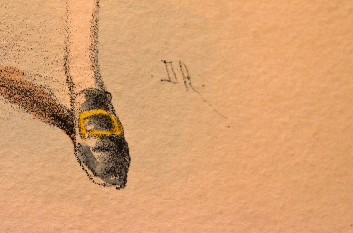 “a Suite Of 4 Theatre Costumes (1)” By Jules Draner (1833 – 1926)-photo-3