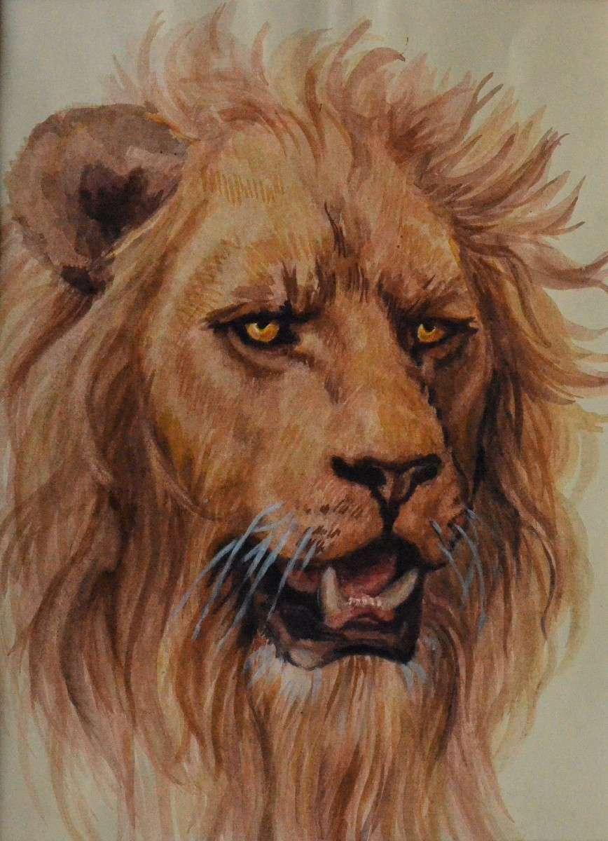 "Portrait d’un lion."-photo-2