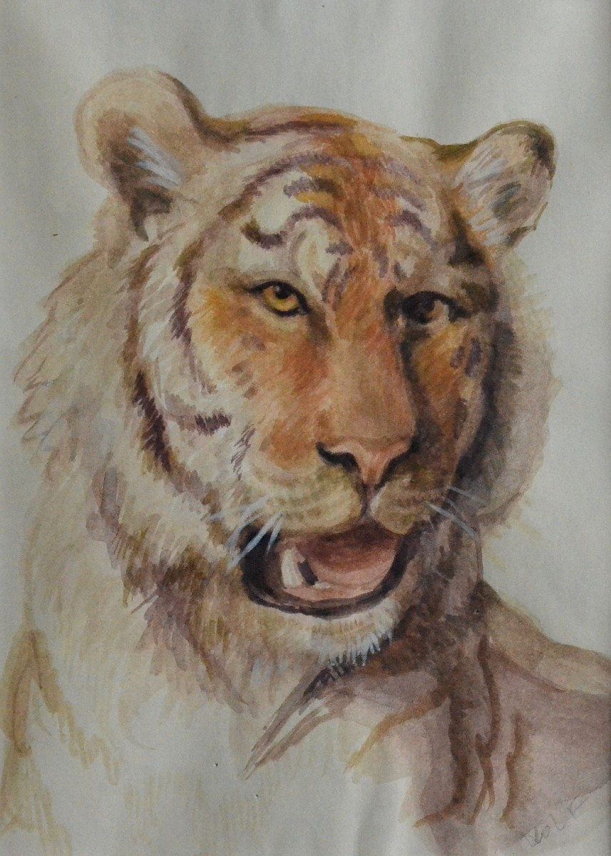 "portrait Of A Tiger."-photo-2