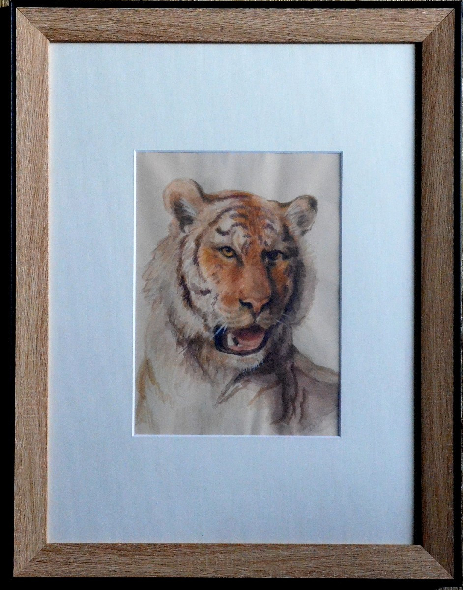 "portrait Of A Tiger."
