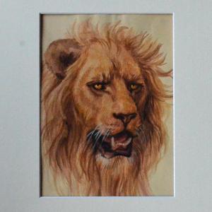 Lion's Head.