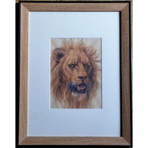 Premiere-Image-1710102