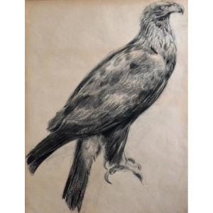 “eagle” Gustave Guêtant (1873-1953)