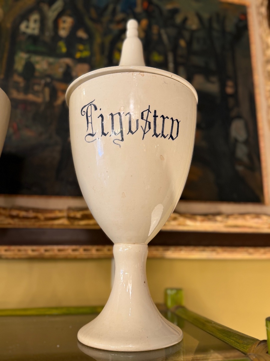 Série de six vases apothicaires en céramique blanche, Italie, XIXe siècle-photo-5