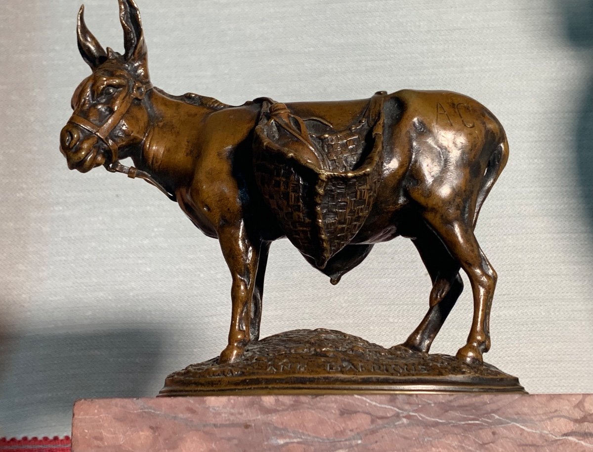 « Âne d’Afrique » Bronze de Auguste-Nicolas Cain , Fonte Susse 