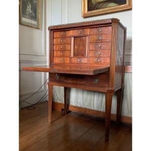 Secretair  In Mahogany, Gustavian Style , Sweden,end 19th Cent. 