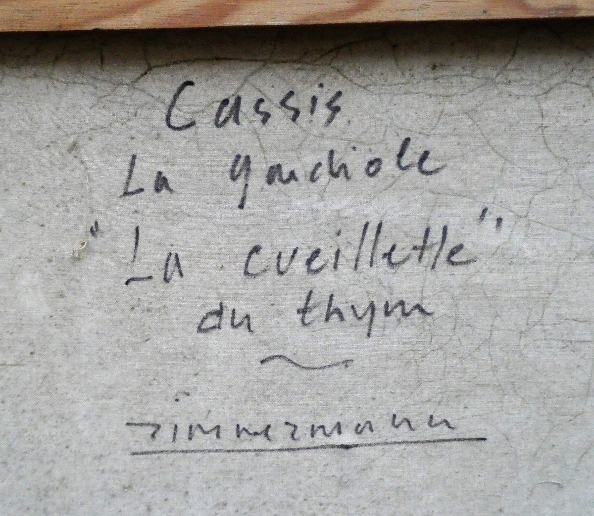 La Cueillette Du Thym, La Gardiole à Cassis Par Zimmermann-photo-6
