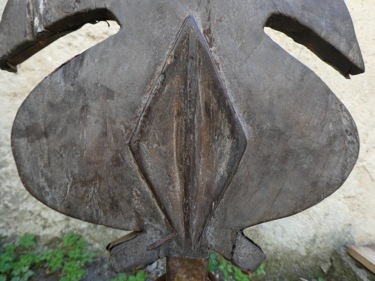 Reliquary Kota "otala Sun" From Gabon-photo-1
