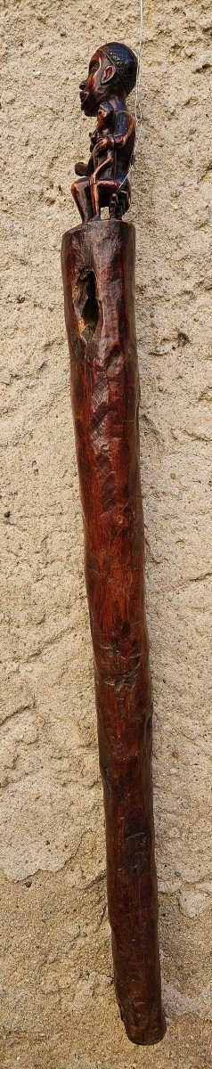 Vili-congo Scepter-photo-3