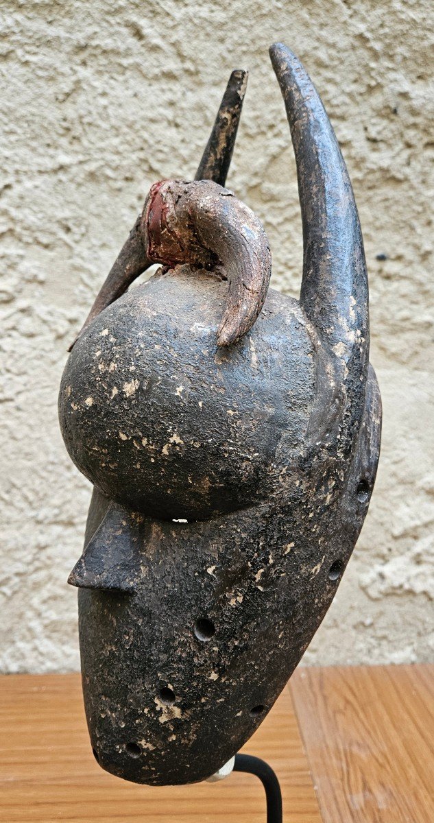 Salampasu Mask From Congo-photo-3