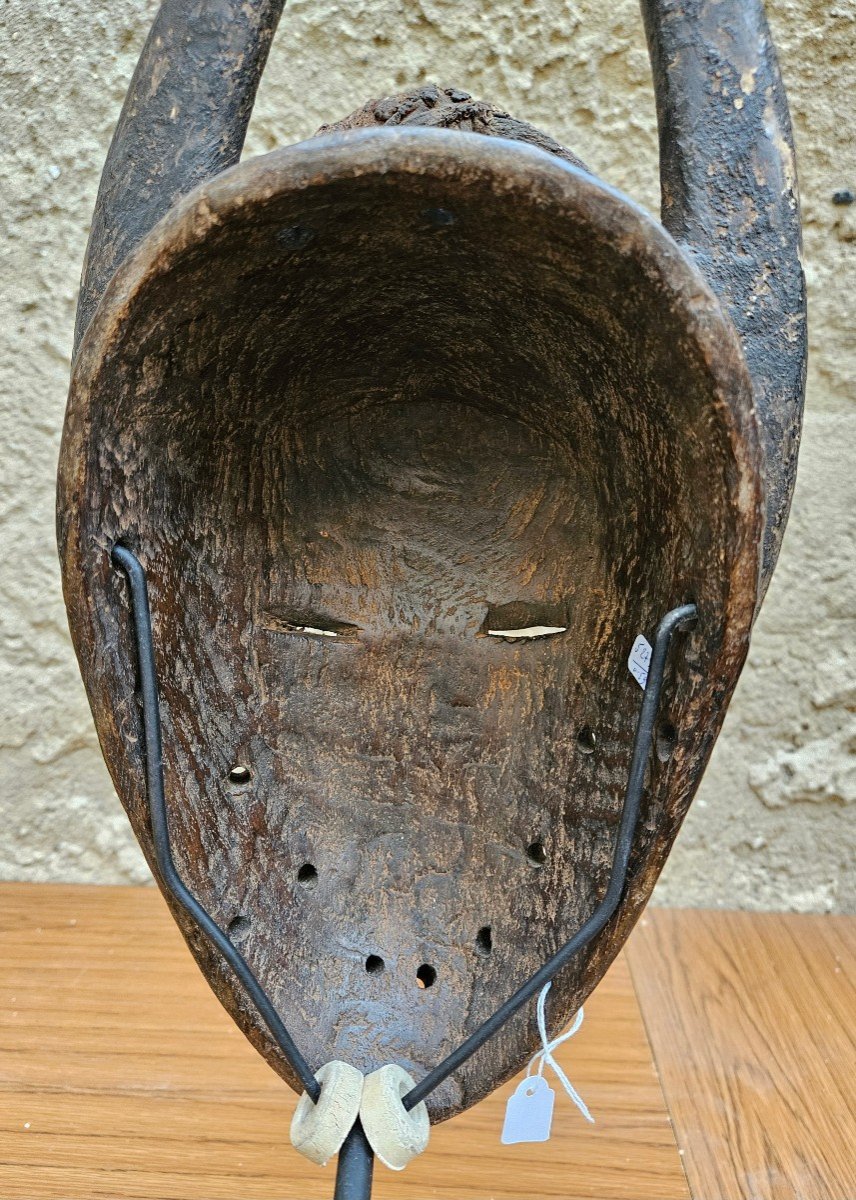 Salampasu Mask From Congo-photo-4