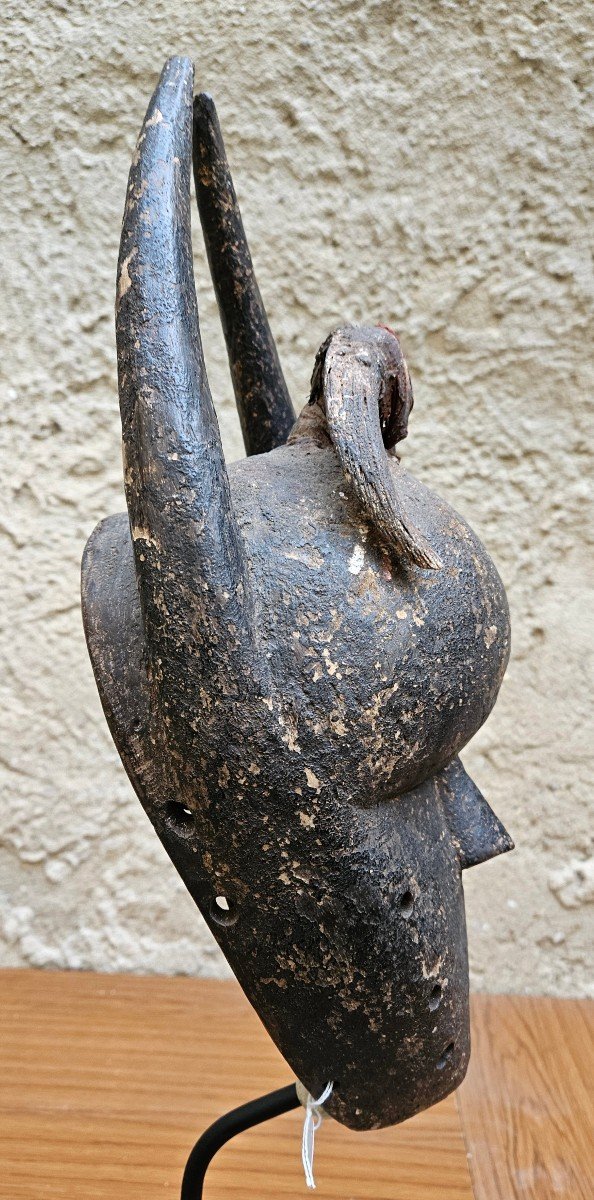 Salampasu Mask From Congo-photo-4