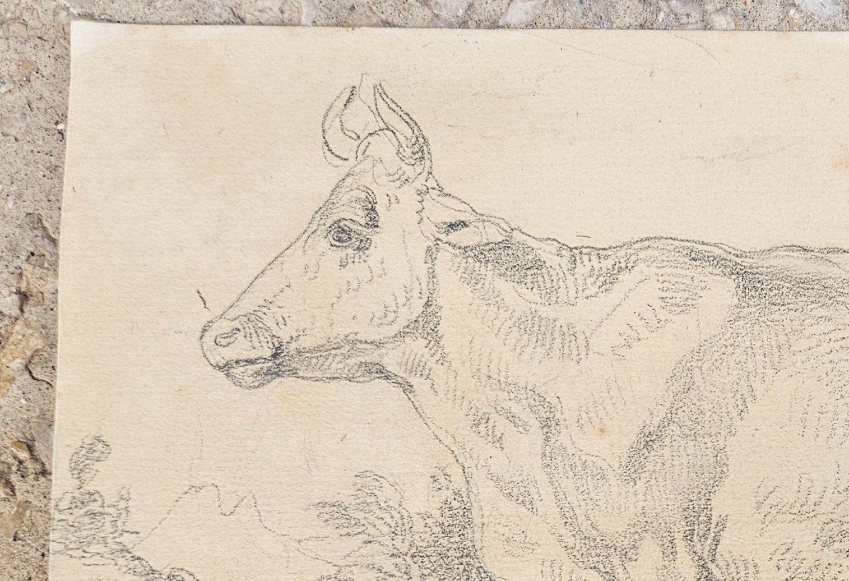 Dessin Original d'Eugène Deveria 1805-1865-photo-4