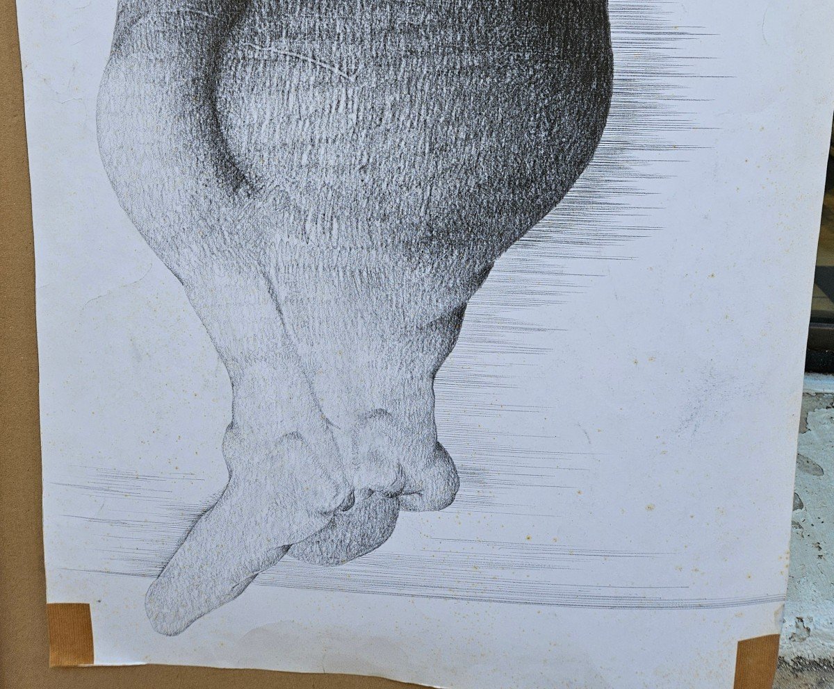 Dessins Par Louis Arnaud 1914-?-photo-4