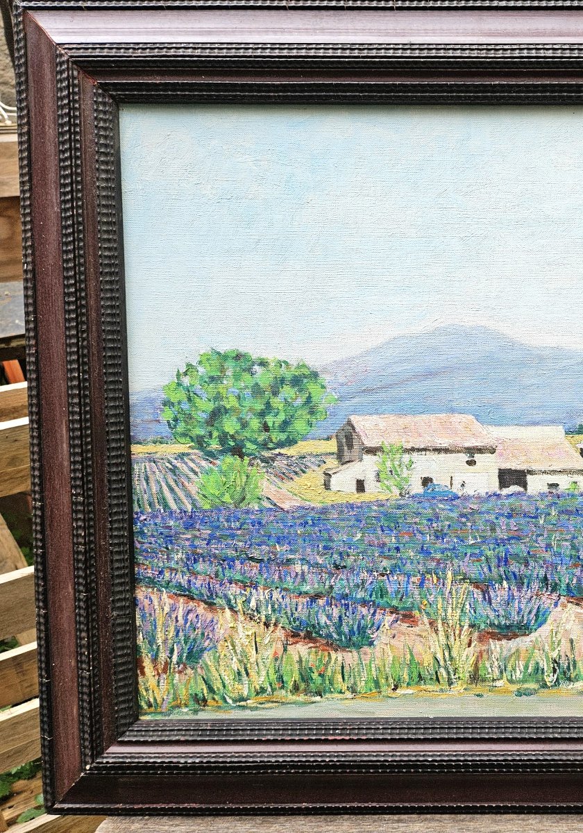 Lavender Fields By Jean Fayard 1919-2008-photo-2