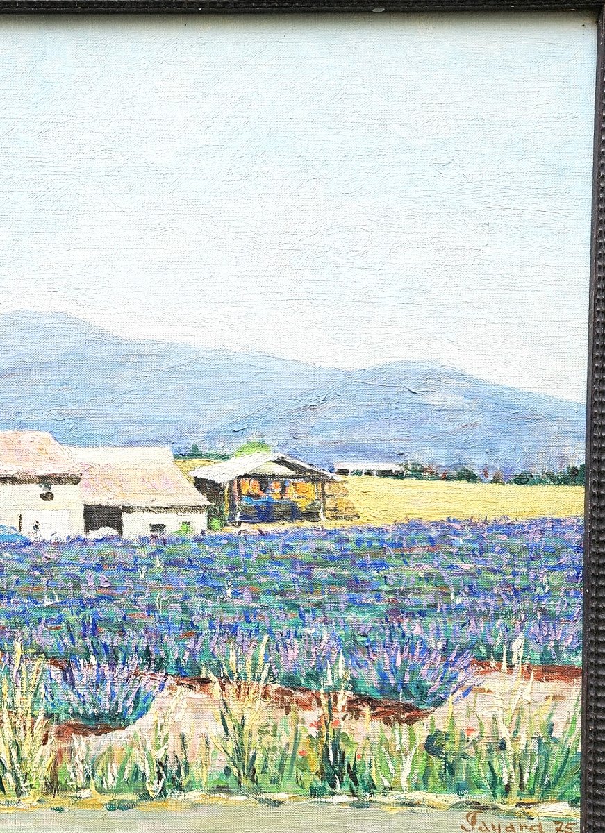Lavender Fields By Jean Fayard 1919-2008-photo-3