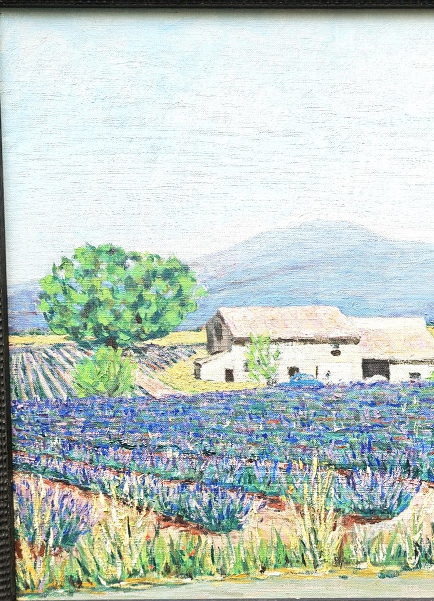 Lavender Fields By Jean Fayard 1919-2008-photo-4