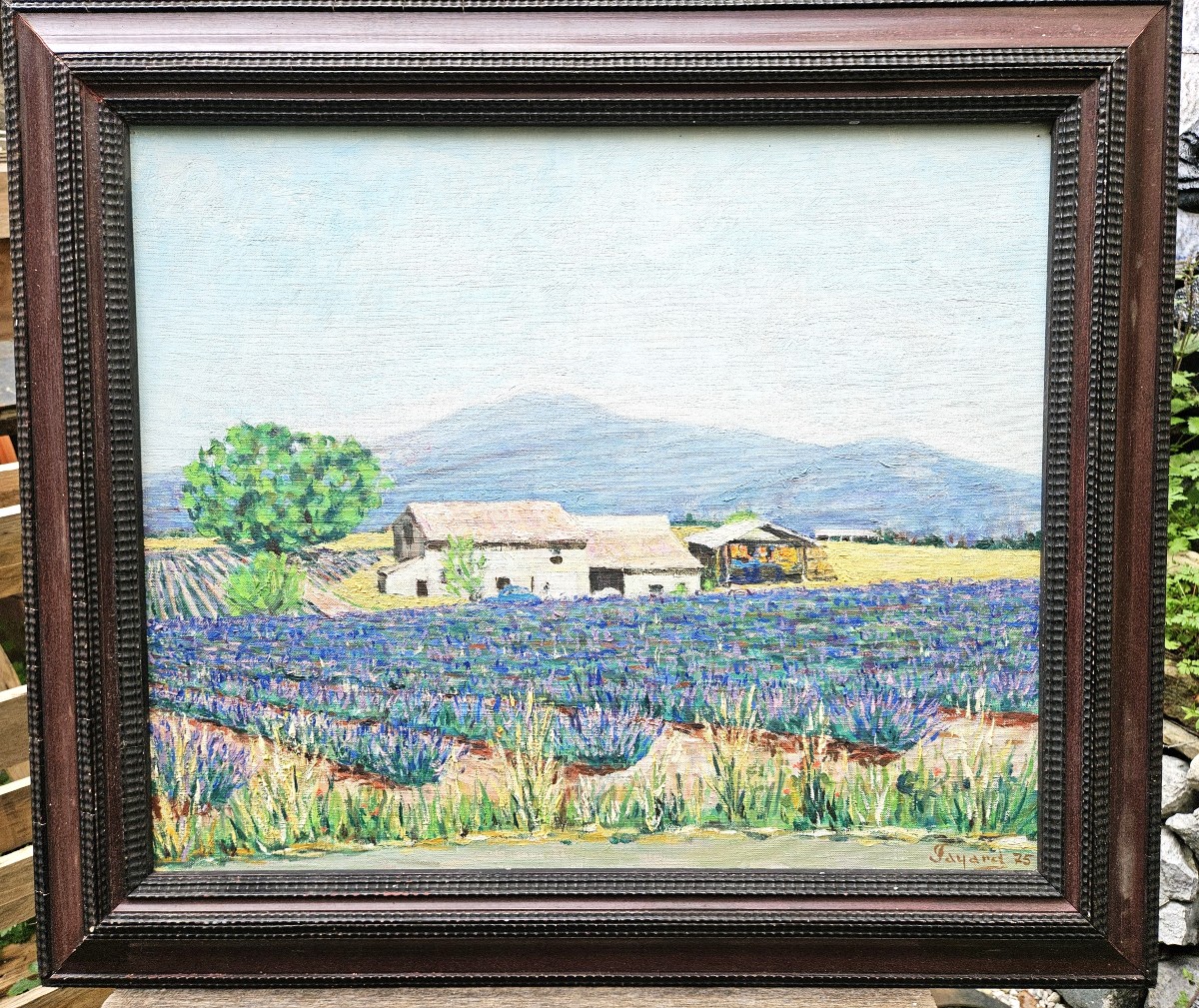 Lavender Fields By Jean Fayard 1919-2008