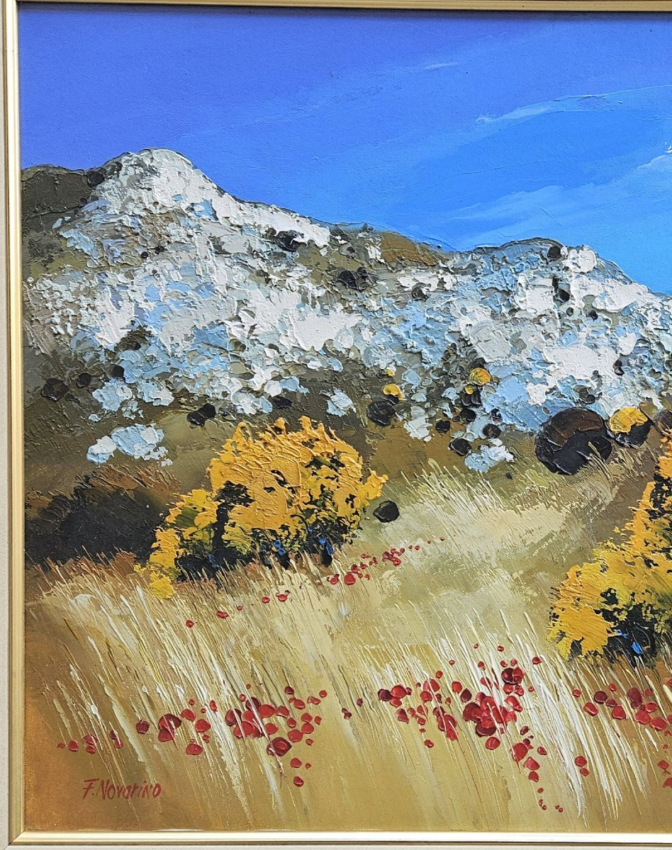 Coquelicots et genêts par Fabien NOVARINO né en 1963-photo-6
