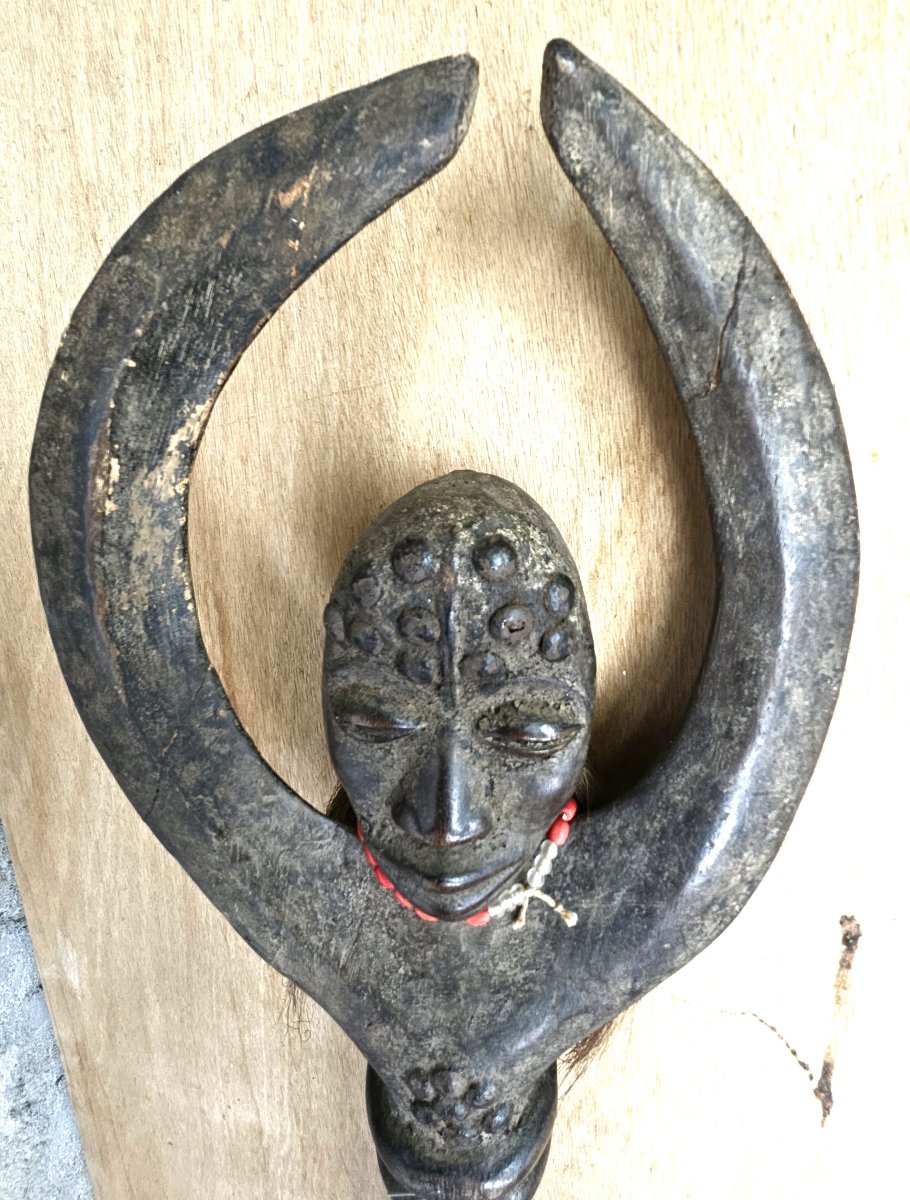 Sceptre  - Canne GREBO-photo-8