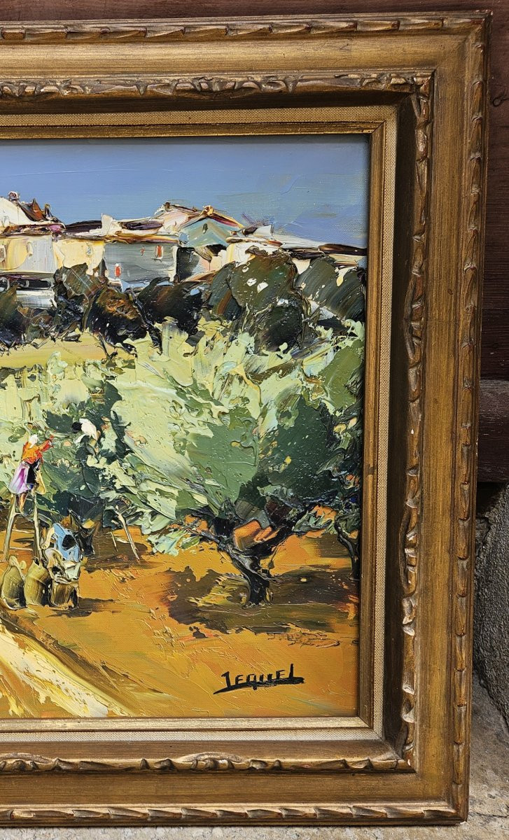 La cueillette des olives par JEQUEL-photo-1