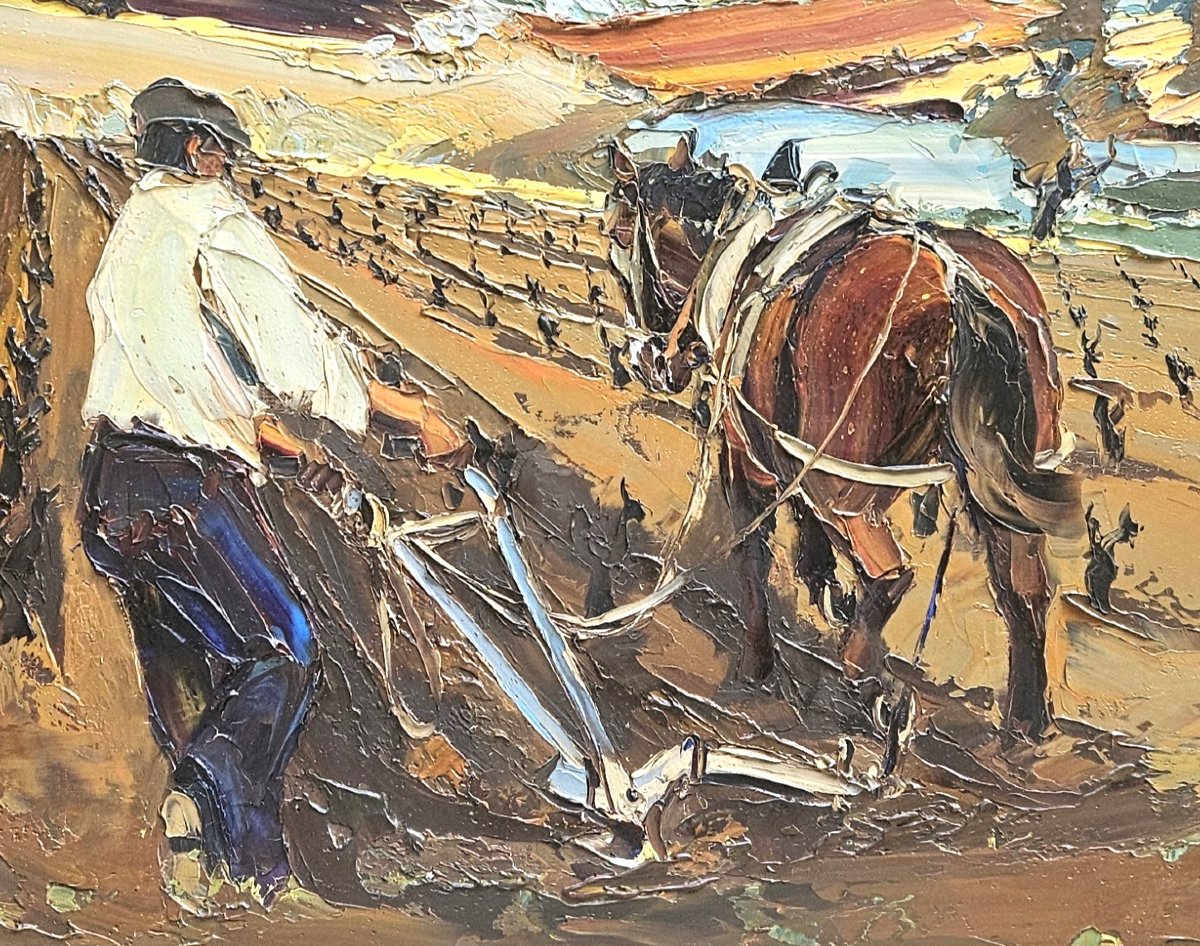 Paysan au  labour par Christian JEQUEL-photo-5