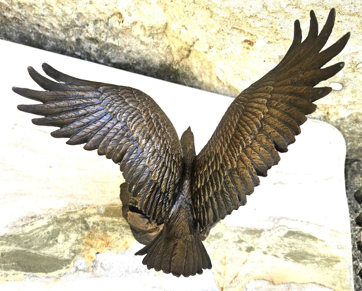 Aigle en bronze signé-photo-2