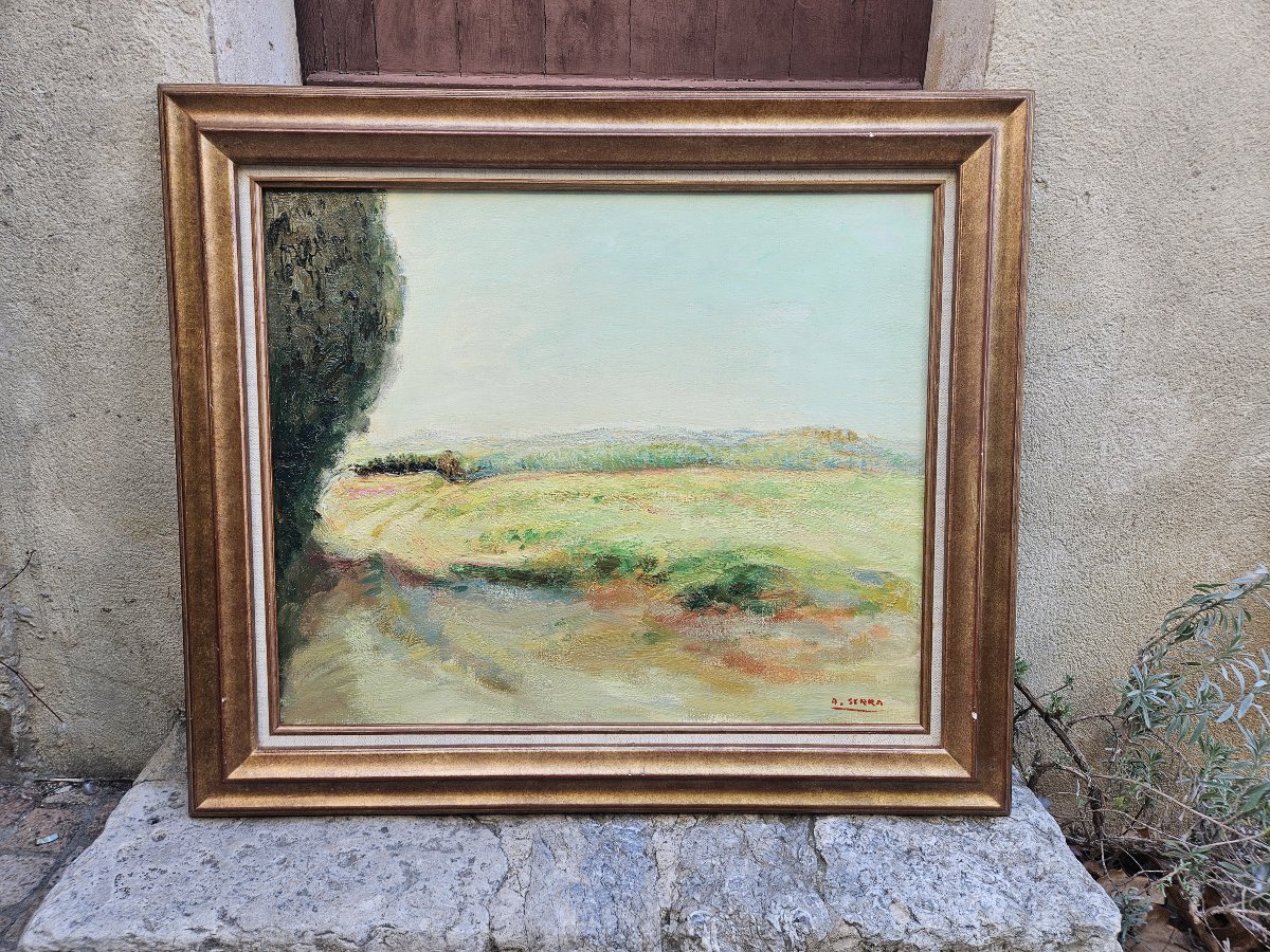 The Countryside In Provence By Antoine Serra-photo-3