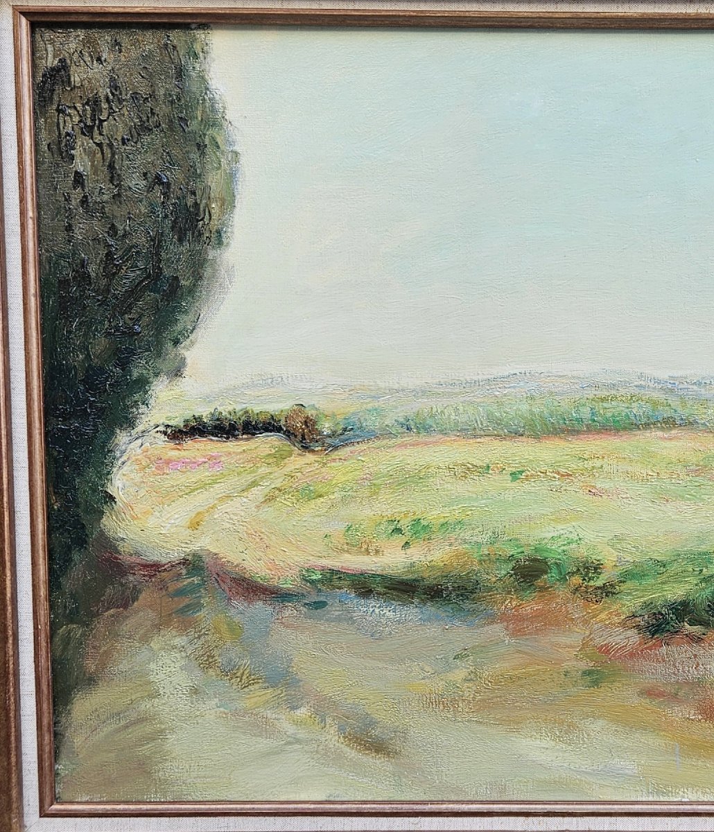 The Countryside In Provence By Antoine Serra-photo-2