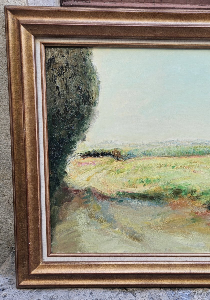 The Countryside In Provence By Antoine Serra-photo-4