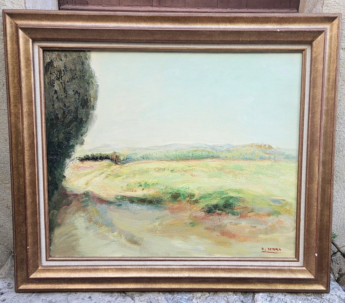 The Countryside In Provence By Antoine Serra