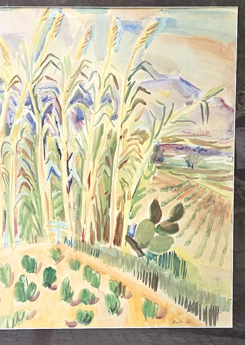"the Reeds" By Laszlo Barta-photo-5