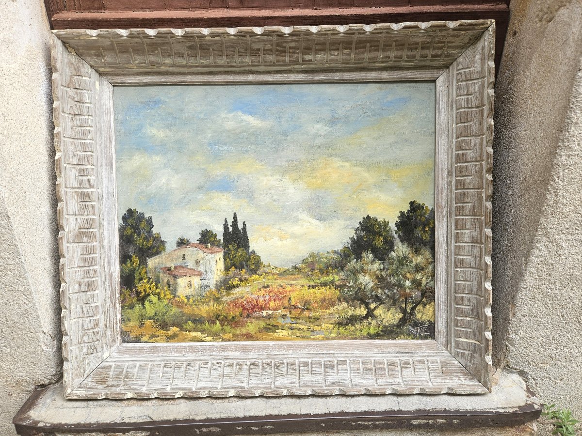 Southern Landscape By Félix Tisot -photo-2